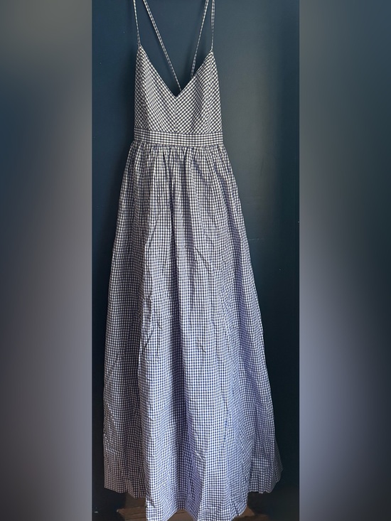 J. Crew Dresses & Skirts - J. Crew Blue and White Gingham Maxi Skirt